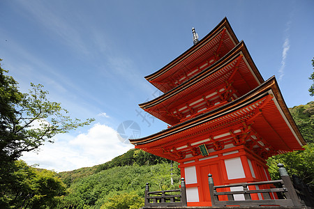 日本京都的日本寺庙和绿坡叶旅游旅行建筑学场景城市天际宗教佛教徒地标神社图片