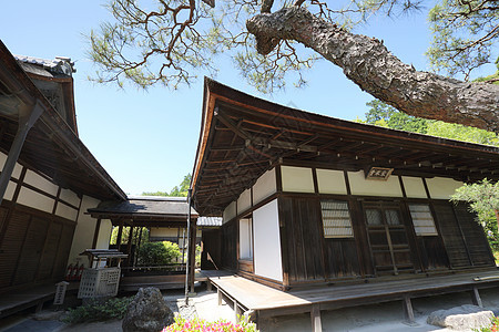 日本京都的银角寺庙地标森林宗教日光佛教徒绿色旅行公园建筑天空图片