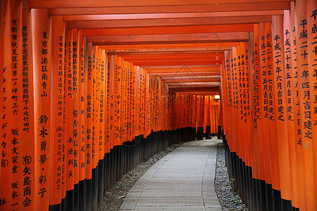 6月2日 京都的神学院神社历史建筑学旅游建筑遗产蓝色旅行观光佛教徒图片