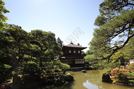 日本京都的银角寺庙佛教徒公园历史天空绿色日光花园建筑森林旅行图片