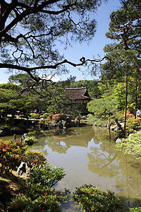 日本京都的银角寺庙宗教建筑历史森林天空公园日光佛教徒绿色地标图片