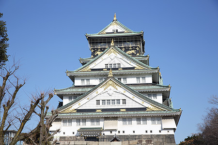 玫瑰城堡和蓝天 日本城堡历史公园建筑建筑学堡垒历史性观光场景旅游地标图片