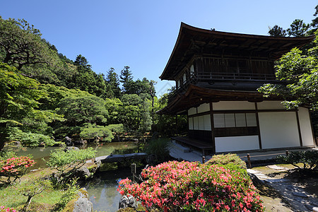 日本京都的银角寺庙公园地标历史佛教徒宗教花园天空建筑旅行日光图片