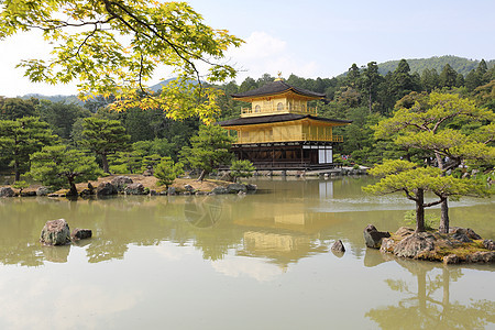 日本京都金宫寺 京都金殿文化宗教旅游佛教徒艺术花园寺庙神社建筑学金子图片