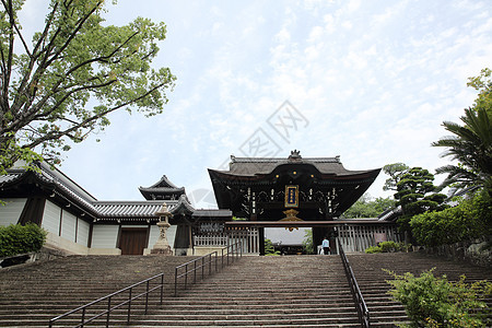 日本京都的日本寺庙和绿坡叶景观天际旅游城市风景场景宗教地标建筑学神社图片