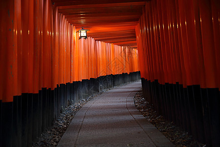 日本京都Inari神社圣堂红Tori门神道地标神社宗教人行道旅行红色寺庙旅游建筑学图片