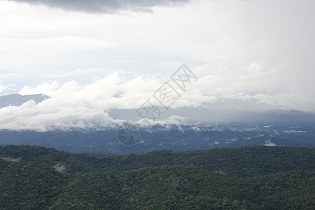 山林和雨雾环境悬崖树木天空热带草地森林爬坡道蓝色日出图片