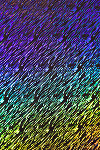 全息抽象闪亮背景科幻微光焰火纸屑水晶舞池彩虹艺术活力金属图片