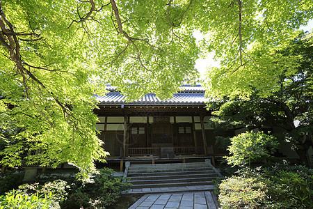 花园中的日本寺庙历史人行道建筑学宗教建筑神社清水文化旅行佛教徒图片