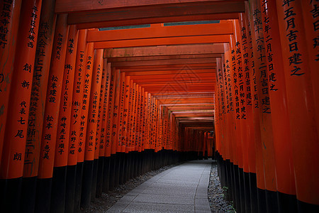 日本京都神社红Tori门木头神社隧道宗教观光小路神道历史吸引力建筑学图片
