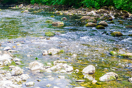 肯特河在岩石和鹅卵石上奔流 河岸绿树成荫卵石溪流绿色环境流动石头图片