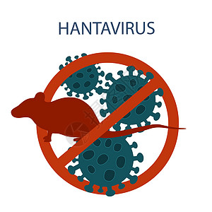 汉坦病毒 带有绿色汉坦病毒图标的大鼠或小鼠 无感染和停止汉坦病毒概念发烧拼贴画风险疾病症状腹部动物注意力细菌横幅图片