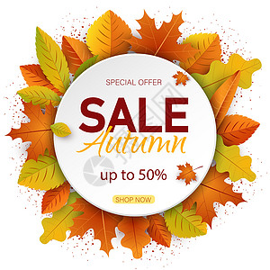 秋天的背景 带秋假的销售横幅橡木叶子绘画价格植物收藏标签店铺静脉金子图片