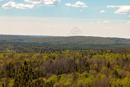 从加拿大安大略省Algonquin公园的Booth岩石小径上 看到的岩湖荒野季节国家风景橙子海岸线树木蓝色叶子松树图片
