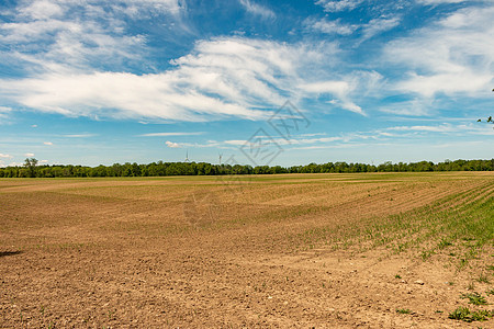 加拿大安大略省农场土地 对新种植的田地的看法蓝色摄影粮食食物农田农村谷仓天空爬坡风光图片