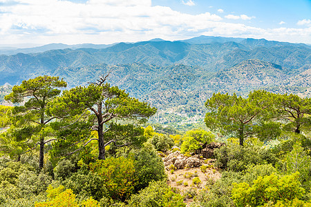 塞浦路斯Troodos山脉 雪松和美丽的山谷风景图片