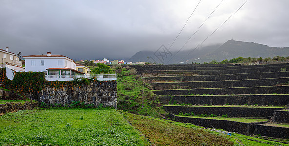 西班牙加那利群岛特内里费地区田田地作物图片