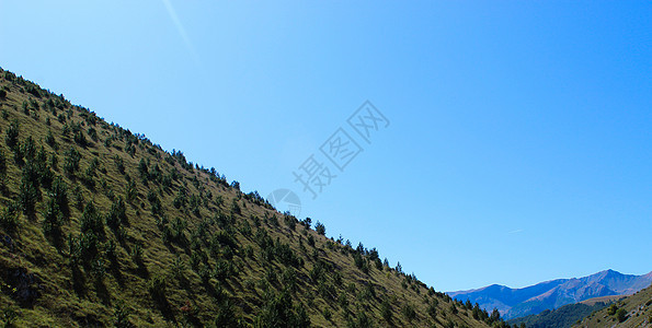 一座山坡 森林长着树 在背景山上 无云的天空 前往贝拉西尼卡山的路上图片