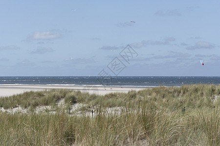 Texel 脱头盘植物海洋天空植被海岸线风景旅行绿色海岸荒野图片