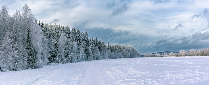 冬季森林 结冰的河流和上面厚重的深蓝色雪云的全景 瑞典北部典型的风景 — 白霜覆盖的桦树和云杉 — 非常寒冷的一天 瑞典拉普兰图片