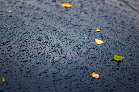 一辆黑色汽车在秋天的雨天浮出水面 上面有黄色的桦树叶  有选择地聚焦 特写模糊环境车辆金属反射季节运输窗户雨滴叶子天气图片