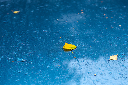 秋雨晨湿的海蓝宝石蓝色金属汽车表面 黄桦叶 — 蓝光选择性聚焦图片