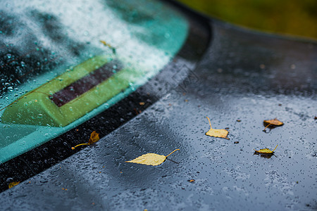 秋雨天深蓝色汽车 橙色桦叶  有选择的焦点 模糊特写蓝色兜帽运输城市反射叶子日光树叶车辆雨滴图片