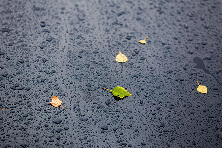 秋雨天深蓝色汽车 黄绿桦叶 — 有选择的焦点 模糊特写图片