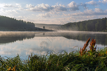 欧洲夏季日出时雾密的湖边池塘森林支撑反射环境树木假期旅游国家薄雾图片
