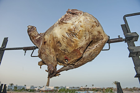 烤烤肉时用吐司烧烤做全羊肉烹饪图片