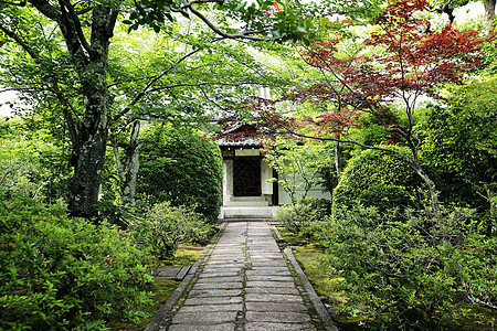 日本圣殿 有日本红门和绿青木叶场景神社观光宝塔旅行天际寺庙景观风景佛教徒图片