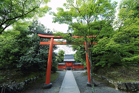 日本圣殿 有日本红门和绿青木叶旅行场景景观宗教佛教徒天际观光神社地标风景图片