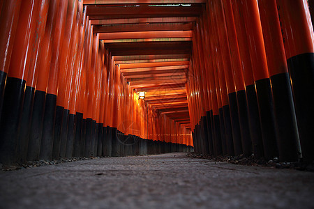 日本京都Inari神社圣堂红Tori门红色寺庙旅行地标神道建筑学人行道神社宗教旅游背景图片