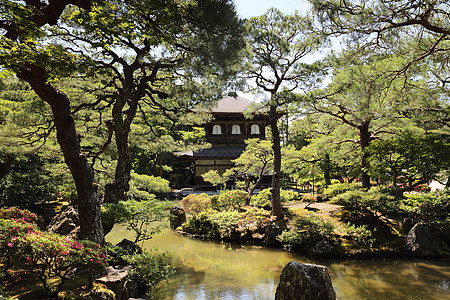 日本京都的银角寺庙公园森林花园佛教徒日光天空历史宗教建筑旅行图片