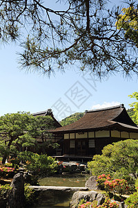 日本京都的银角寺庙地标佛教徒建筑绿色宗教花园森林日光天空历史图片