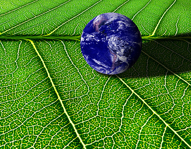 爱与关爱  地球概念全球生长蓝色世界叶子绿色生态生活行星环境图片