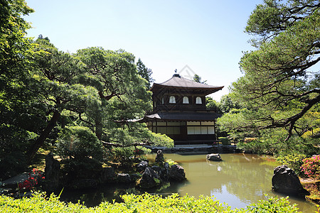 日本京都的银角寺庙花园地标历史森林天空佛教徒旅行日光公园建筑图片