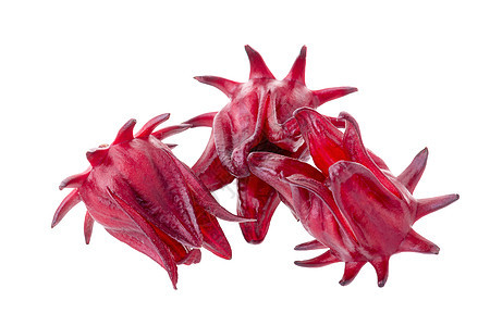 罗莎希比库斯萨布达里夫 白底红果花蔬菜白色草本粉色热带玫瑰茶点木槿红色味道背景图片