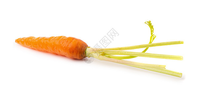 白色背景的新鲜新生婴儿胡萝卜植物烹饪蔬菜健康萝卜摄影食物橙子图片