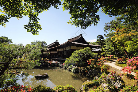 日本京都的银角寺庙宗教绿色天空建筑地标旅行佛教徒日光公园历史图片