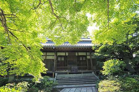 花园中的日本寺庙神社地标佛教徒清水建筑历史宗教宝塔旅行文化图片