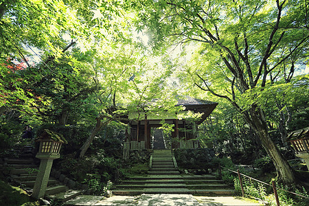 花园中的日本寺庙建筑学人行道建筑文化清水佛教徒宗教神社宝塔旅行图片