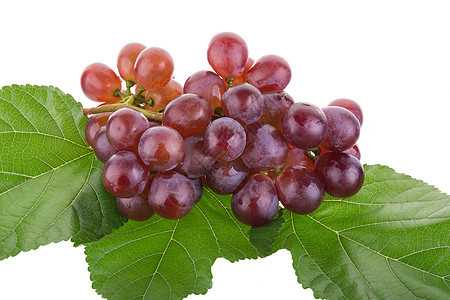 在白色背景上孤立的红葡萄食物叶子水果紫色维生素红色果汁绿色浆果图片