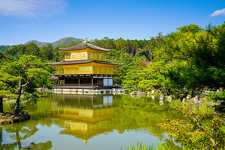 日本京都的九角寺庙神社文化公园金子纪念碑地标佛教徒花园旅行反射图片