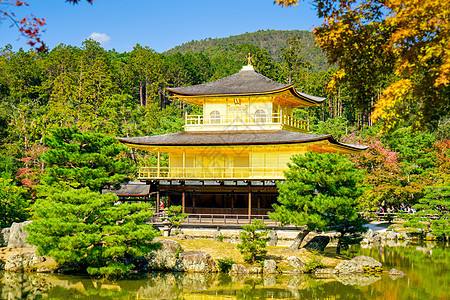 日本京都的九角寺庙旅行文化佛教徒公园旅游纪念碑金子花园宗教反射图片