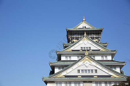 玫瑰城堡和蓝天 日本城堡建筑场景公园假期武士历史皇帝观光建筑学文化图片