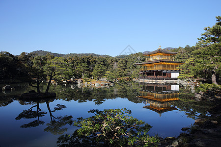 日本京都金宫寺庙金殿遗产旅行季节游客神社地标公园文化亭子金子图片