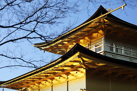 日本京都金宫寺庙金殿历史性佛教徒池塘反射旅游建筑公园游客遗产地标图片