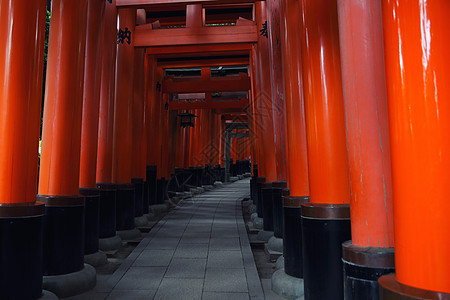 日本京都神社红Tori门地标宗教木头建筑学吸引力观光历史佛教徒神社旅游图片