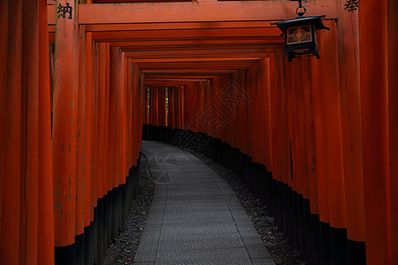 日本京都神社红Tori门隧道建筑学历史灯笼神社橙子吸引力旅游寺庙宗教图片